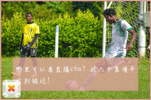 哪里可以看直播cba？这几个靠谱平台别错过！